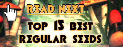 Read next: Top 15 Best Regular Seeds