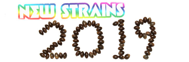 19 new cannabis strains for 2019 banner