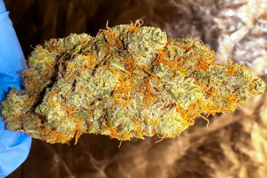 24k gold, dna genetics, grown by reddit user