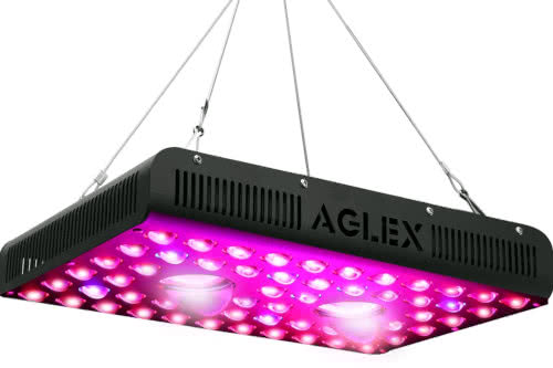 CREE COB LED grow light AGLEX
