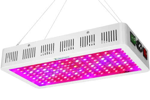 Exlenvce 1500W LED Grow Light
