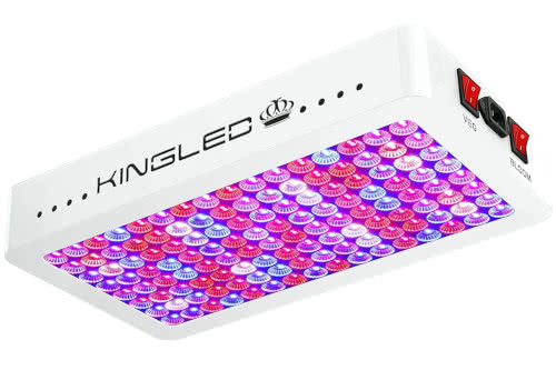 KingLED 1500W Double Chips LED Grow Light Full Spectrum