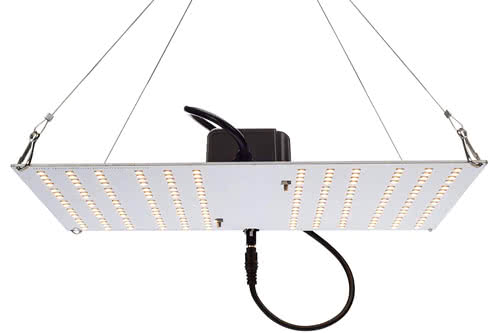 Quantum Board LED Grow Light Horticulture Lighting Group