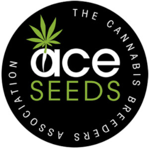 ace seeds logo