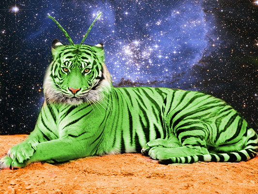 Crouching Tiger Hidden Alien cannabis strain