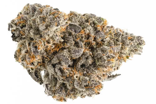 animal runtz strain bud by supreme