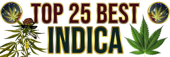 best indica strains list top banner