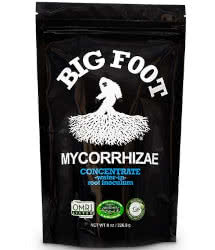 big foot water soluble mycorrhizae
