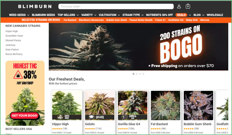 blimburn seed bank review