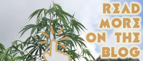 Visit the MRS Weed Blog