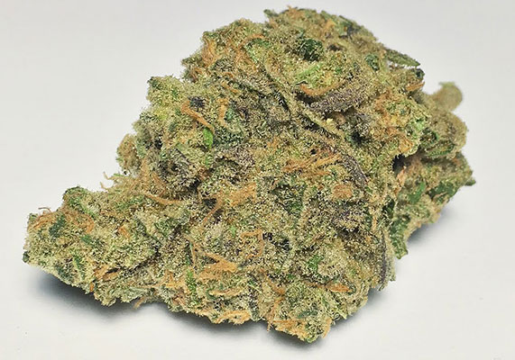 Blue Balls cannabis strain