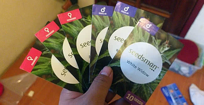 cannabis seed packs, feminized and regular seeds, various strains by seedsman seed bank
