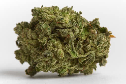 cake bomb strain bud by seed supreme