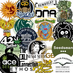 cannabis seed breeders and seedbanks logos collage