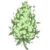cannabis bud flower icon