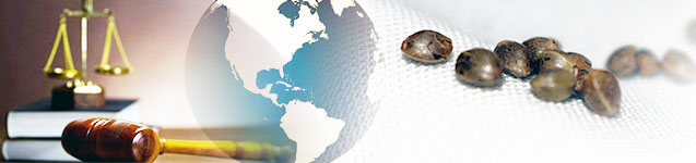The Legality of Cannabis Seeds Worldwide banner