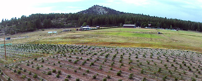 cbd hemp farm view 4 corners cannabis