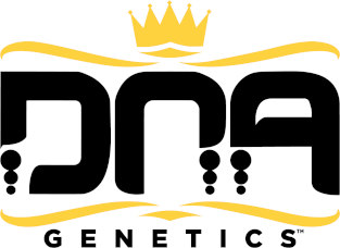 dna genetics logo