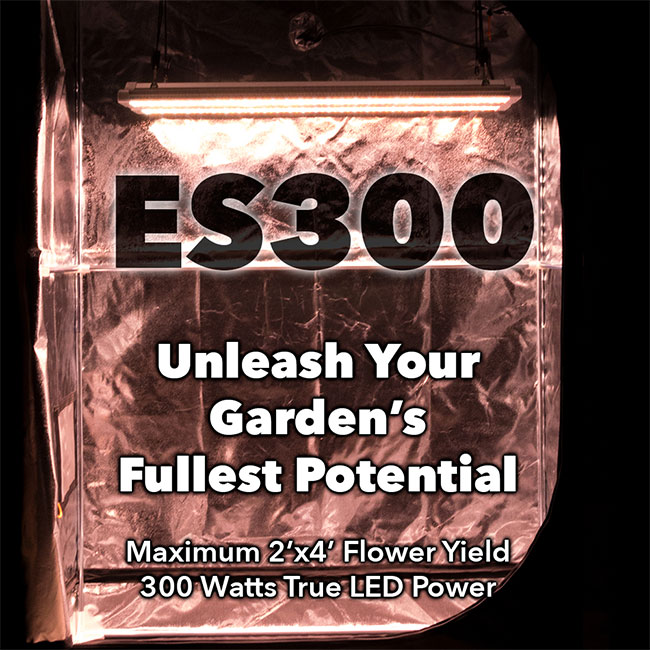 es 300 electric sky grow light in grow tent