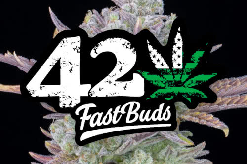 fast buds logo and cannabis plant