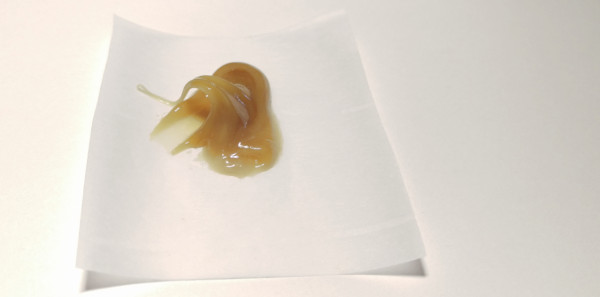 fresh pressed cannabis rosin on parchment paper