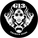 G13 Labs logo