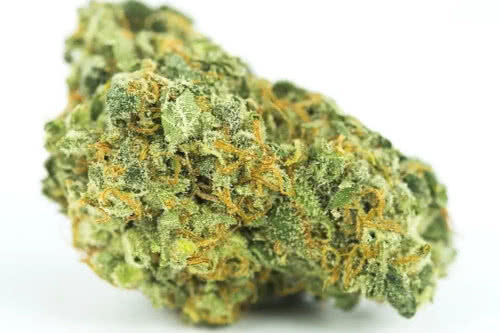 gorilla glue auto strain bud by seed supreme