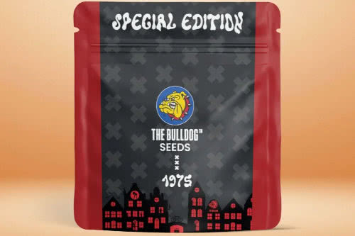 grease monkey strain seed pack by the bulldog