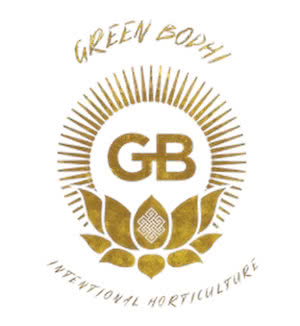 green bodhi logo