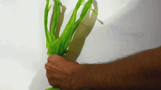 how to tie grocery bag gif