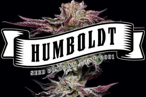 humboldt seed company logo and cannabis plant