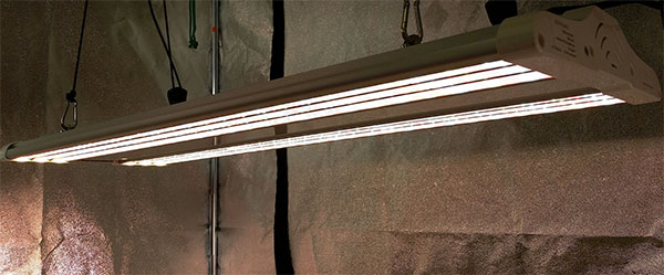 LED grow light, electric sky model