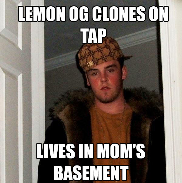 Scumbag Steve funny cannabis weed fail meme
