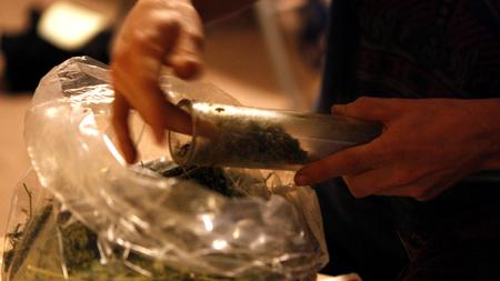 making butane hash oil cannabis extract