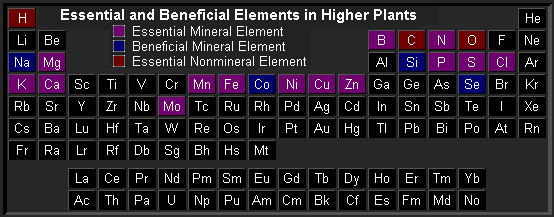 minor and micronutrients plants periodic table chart