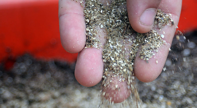 commercial application of mycorrhizal fungi inoculant