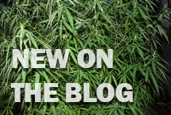 New on the Weed Blog
