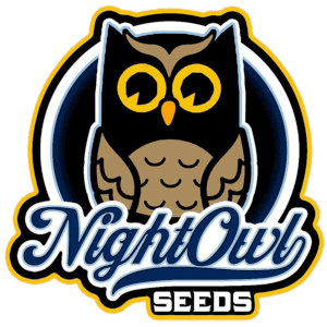night owl seeds logo