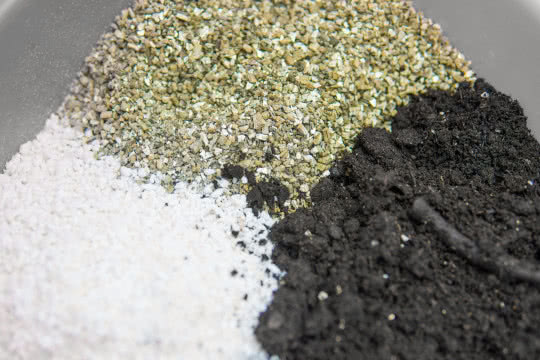 perlite, vermiculite, and garden soil substrates