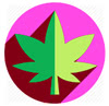 cannabis leaf icon