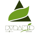 Pyramid Seeds logo