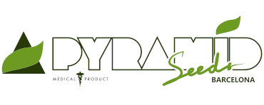 pyramid seeds logo