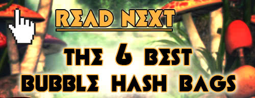 read next, bubble hash bags