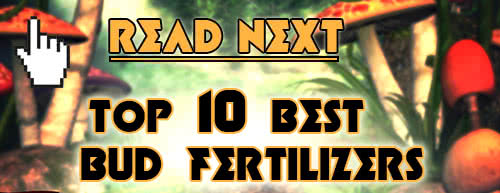 read next, bud bloom fertilizers