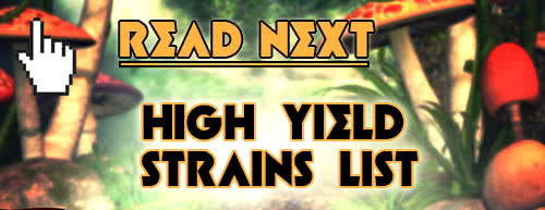read next high-yield strains list