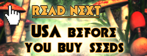 read next, before you buy cannabis seeds usa