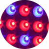 red blue led grow light icon