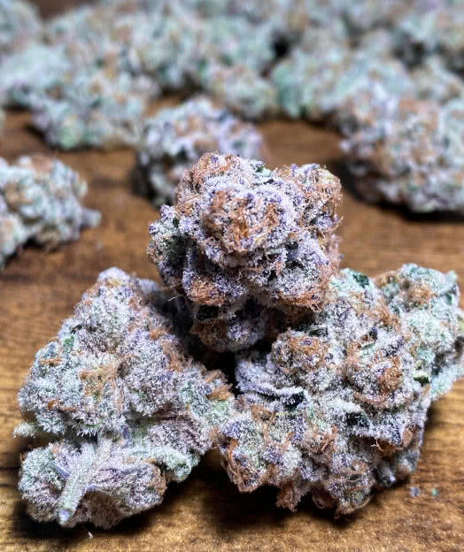 runtz muffin strain, barneys farm, grown by reddit user