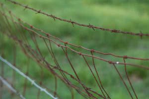 rusty wire for top of cage guerrilla cannabis growing