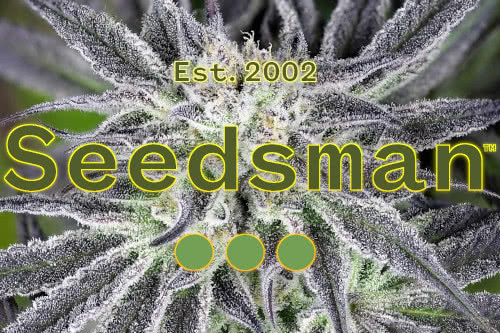 seedsman logo and cannabis plant